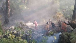 Manavgat'taki orman yangını büyümeden söndürüldü