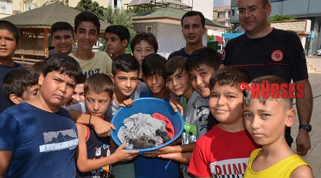 Rögarda mahsur kalan yavru kediler için seferberlik