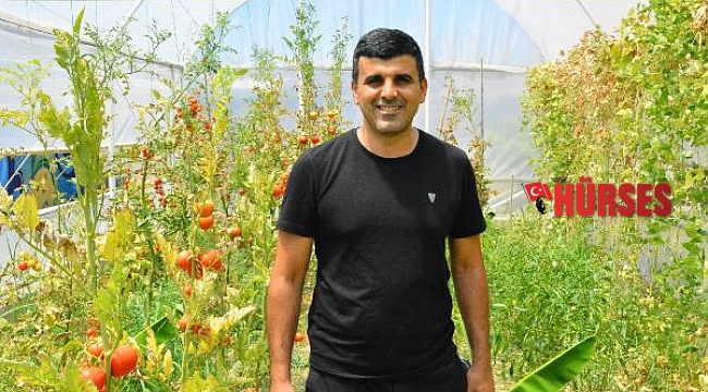 Serada yetişen sebzeler ihtiyaç sahiplerine dağıtılıyor