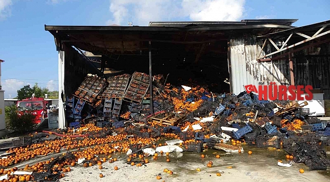 Soğuk hava deposundaki yangında 9 daire ve 100 ton portakal zarar gördü