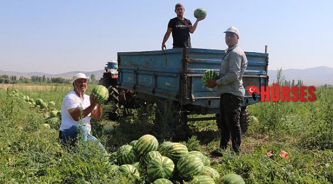 Turizmi bıraktı, kavun karpuz üretiyor