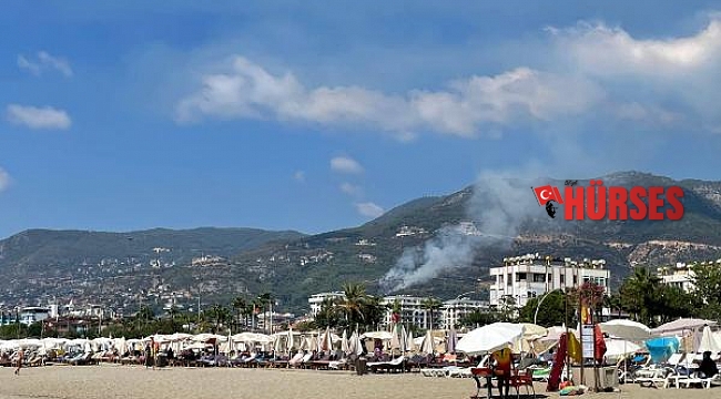 Alanya'da orman yangını; 3 saatte söndürüldü