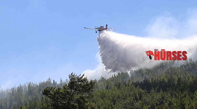 Alanya'daki orman yangını kontrol altına alındı
