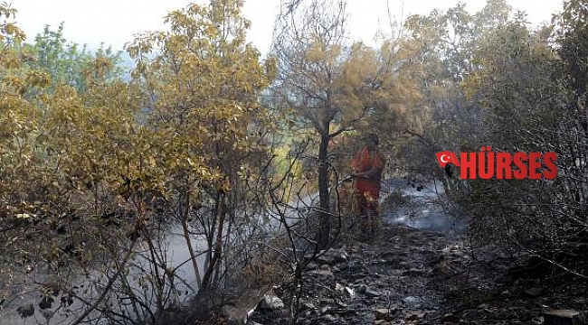 Antalya'da 5 hektar orman yandı