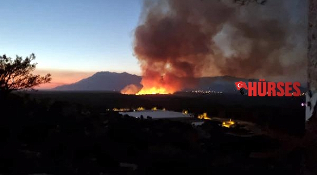 Antalya'da çay kenarındaki sazlık ve ağaçlıkta yangın
