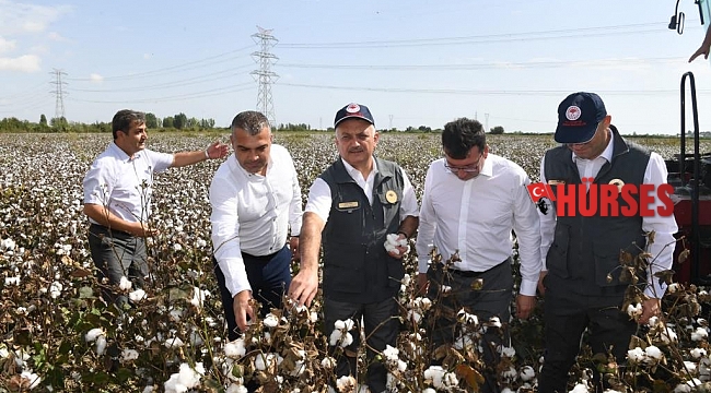 Antalya'da ilk pamuk hasatı