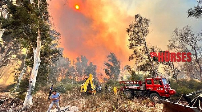 Antalya'daki orman yangınında 15 hektar zarar gördü
