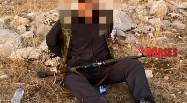 Kaçak avcılara ceza yağdı