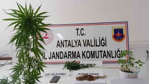 Kumluca'da evin çatısında kenevir ele geçirildi