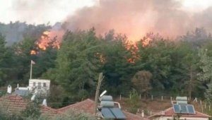 Muğla'da 1 hektar ormanın küle döndüğü yangın sigara izmaritinden çıkmış; 1 gözaltı