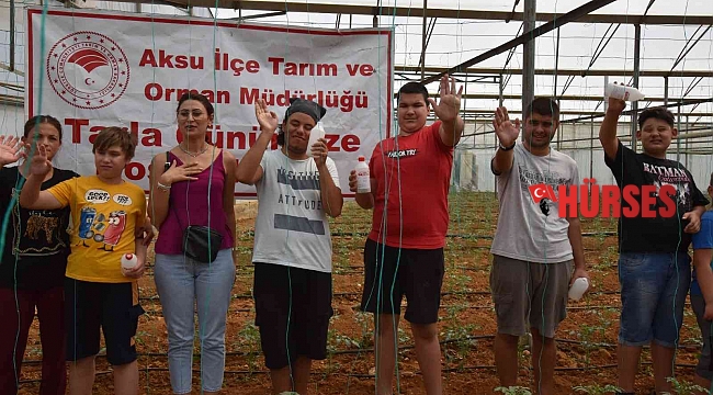 Otizmli gençler domates serasına faydalı böcek bıraktı