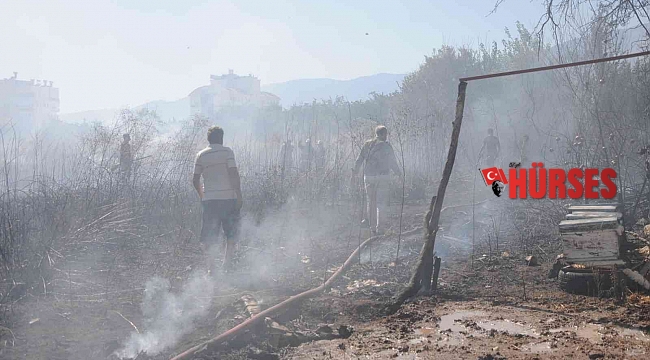 Otluk alanda çıkan yangın portakal ağaçları ve arı kovanlarını yaktı