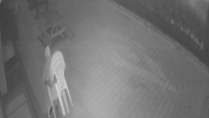 Siteye dadanan hırsız, yönetimi canından bezdirdi