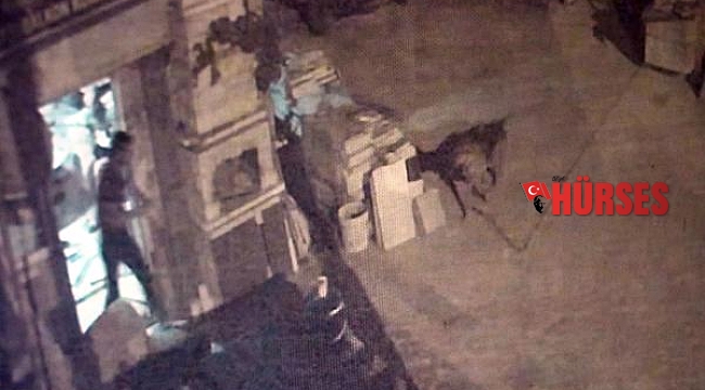 Tartıştığı arkadaşının ismini taşıyan köpeği tabancayla öldürdü; olay anı kamerada