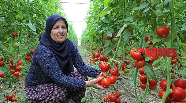 Toprakları suya kavuştu Manavgatlı çiftçinin yüzü güldü