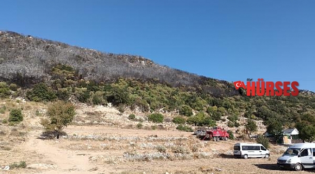 Antalya'da 5 saat süren makilik yangınında 10 hektar alan kül oldu