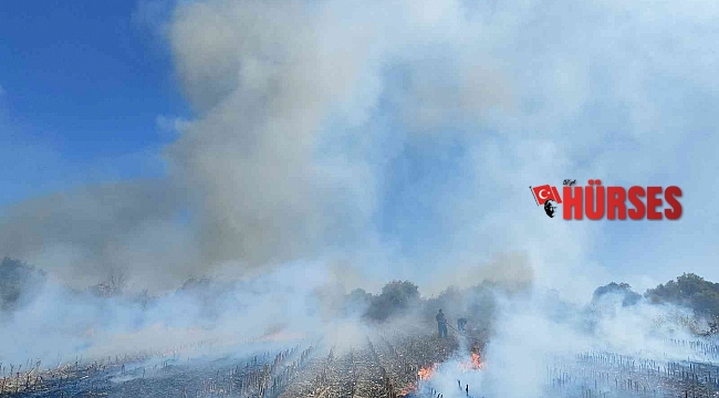 Antalya'da anız yangını itfaiye ekiplerine zor anlar yaşattı