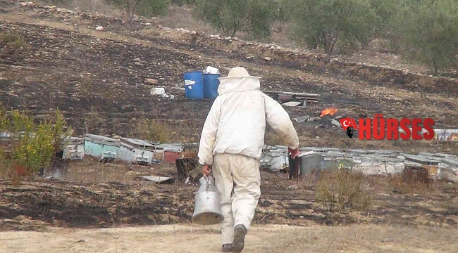 Antalya'da arı kovanları alev alev yandı