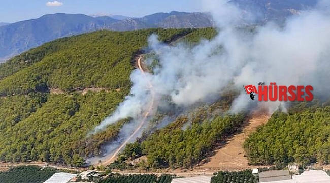 Antalya'da orman yangını