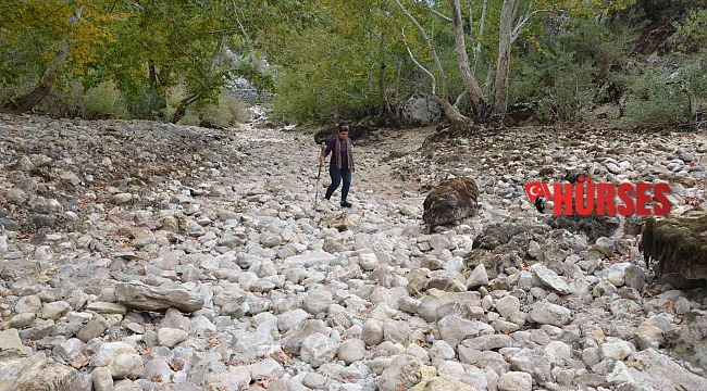 Antalya'da Üzümdere Irmağı kurudu, yavru alabalıklar telef oldu