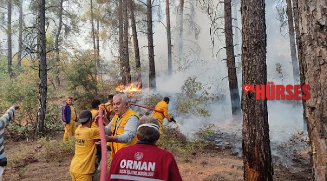 Burdur'da orman yangını