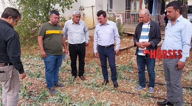 Doludan 102 çiftçinin 305.5 dekar alanı zarar gördü
