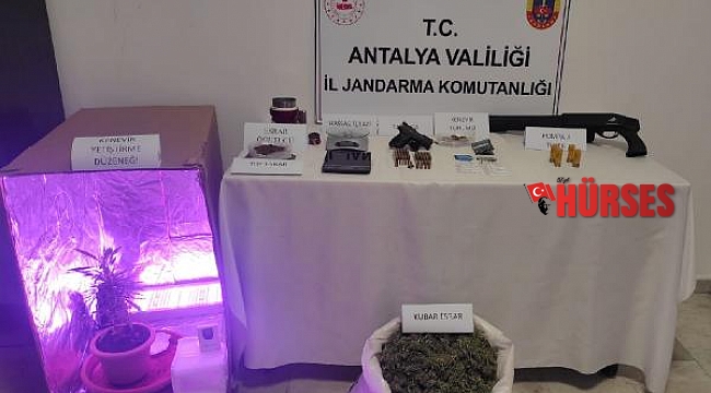 Jandarmadan uyuşturucu baskını