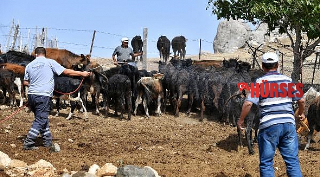Konyaaltı'ndan bir ilk daha