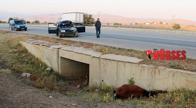 Otomobil ata çarptı: 4 yaralı