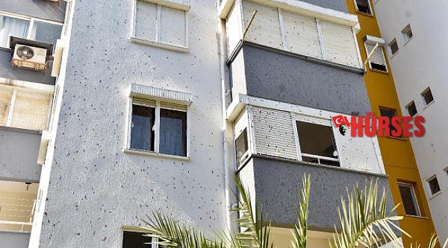 Sitede yaşayanların 'yarasa' çaresizliği