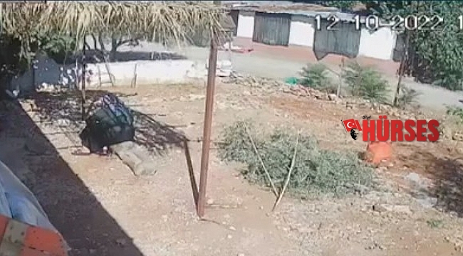 Sokak ortasında öldürülen yaşlı kadının ölmeden önce son görüntüleri ortaya çıktı