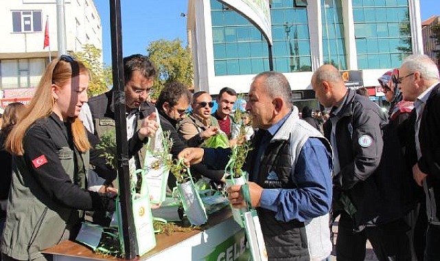 7 bin fidan 15 dakikada dağıtıldı