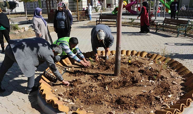 Akseki'de de lale soğanı üretilecek