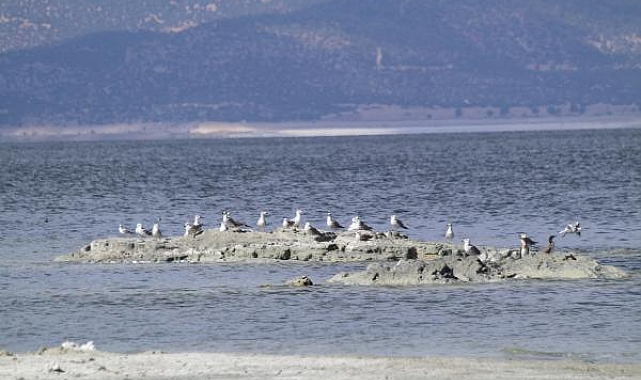 Çekilme olan Burdur Gölü'nde iskele, 18 metre uzaklaştı