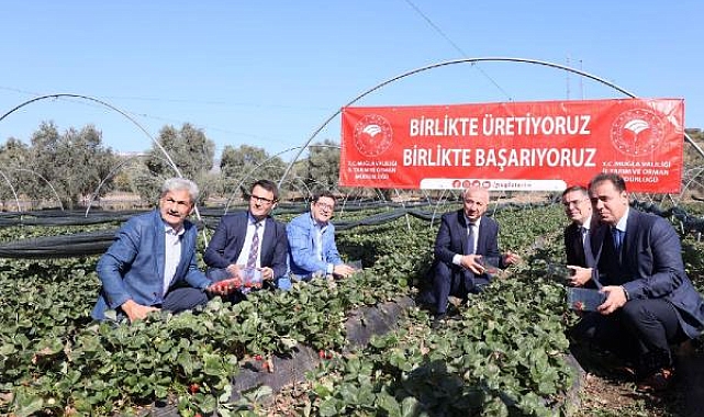 Çilek projesi büyümeye devam ediyor