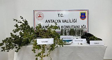 Gazipaşa'da uyuşturucu operasyonu