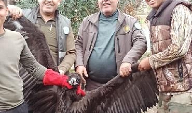 Kara Akbaba GPS sayesinde Antalya'da yakalandı
