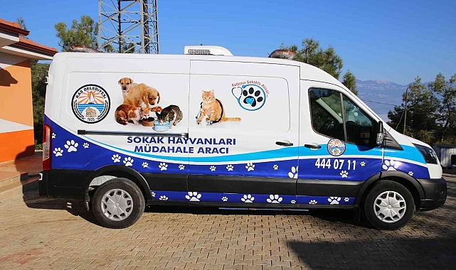 Kaş Belediyesi Sokak Hayvanları Müdahale aracı hizmette