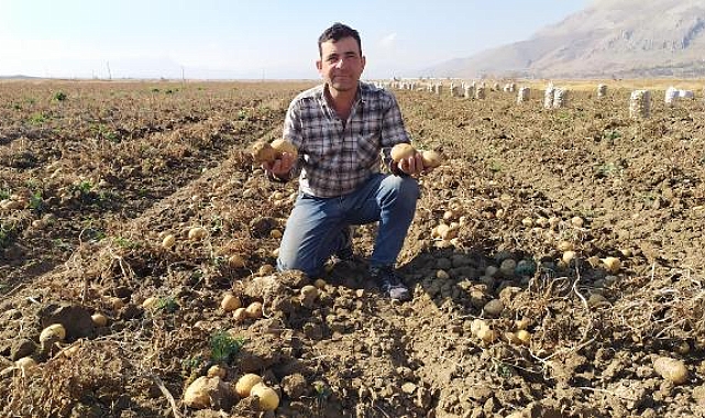 Korkuteli'de patates hasadı sona erdi