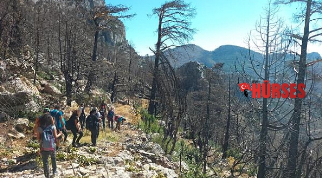 Tarihi kervan yolunu, tomruk araçları tahrip etti