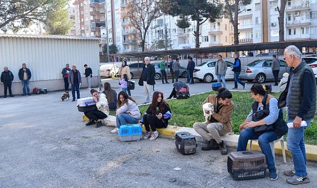 Evcil hayvan sahiplerinin 'çip taktırma' sırası