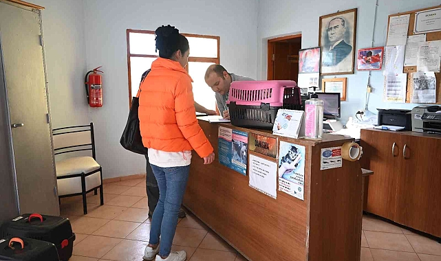 Kemer'de bin 425 sokak hayvanı kısırlaştırıldı