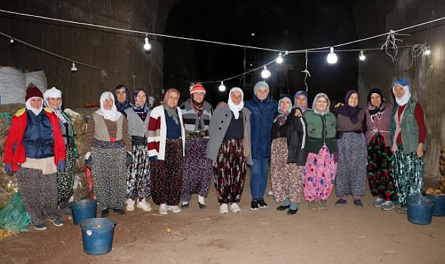 Sandıklı patatesi, mağara depolardan satışta