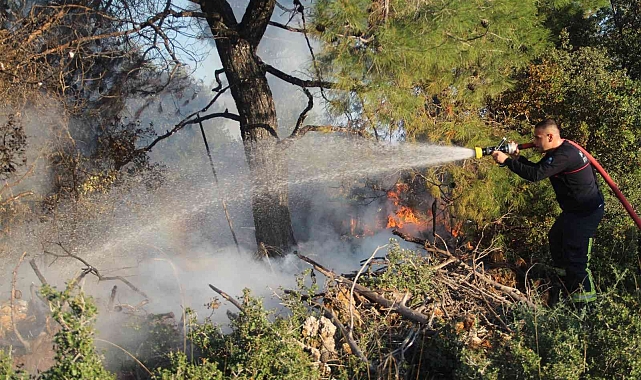 Su dolu bidonlarla alevlerin ormana sıçraması önlendi