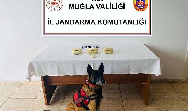 Üzerinde 1 kilo uyuşturucuyla yakalanan sürücü gözaltına alındı