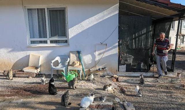 Bulduğu kör kediye baktı, mahalledeki kedilerin 'dedesi' oldu