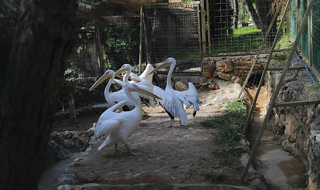 Doğal Yaşam Parkı öğrenci ve öğretmenlere yarıyıl tatilinde ücretsiz