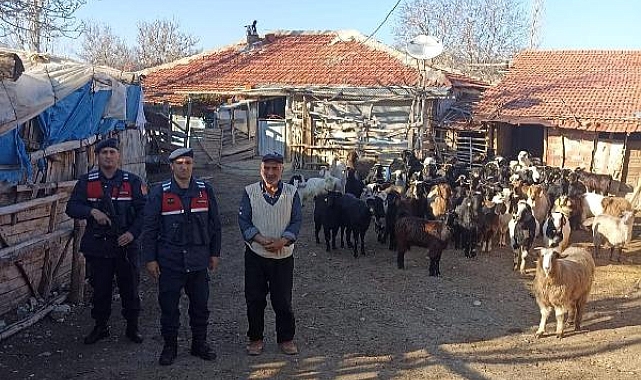 Kaybolan keçileri jandarma buldu