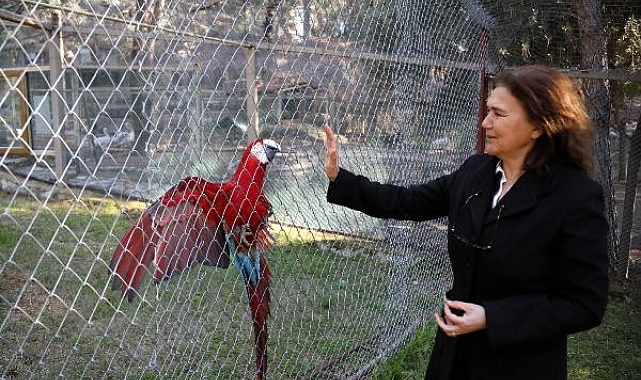 Kurtarılan yaban hayvanları, hayvanat bahçesinde güven içinde yaşıyor