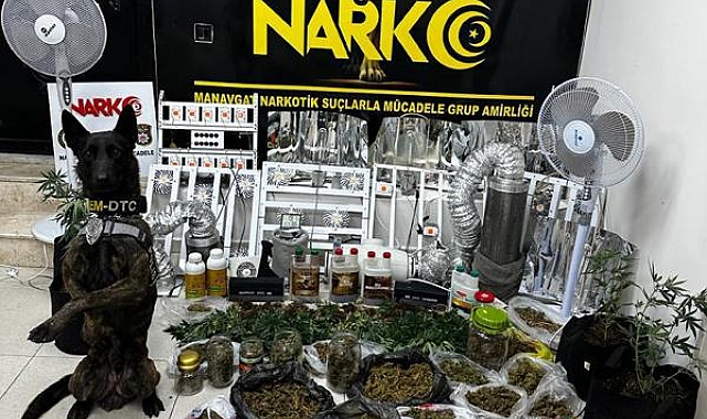 Manavgat'ta uyuşturucu operasyonu